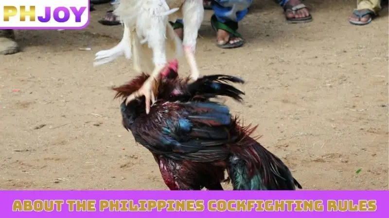 About the Philippines cockfighting rules
