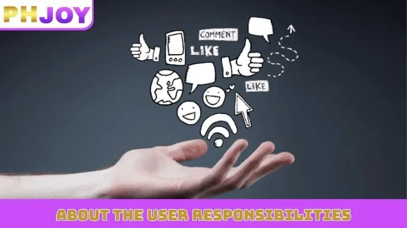 About the user responsibilities