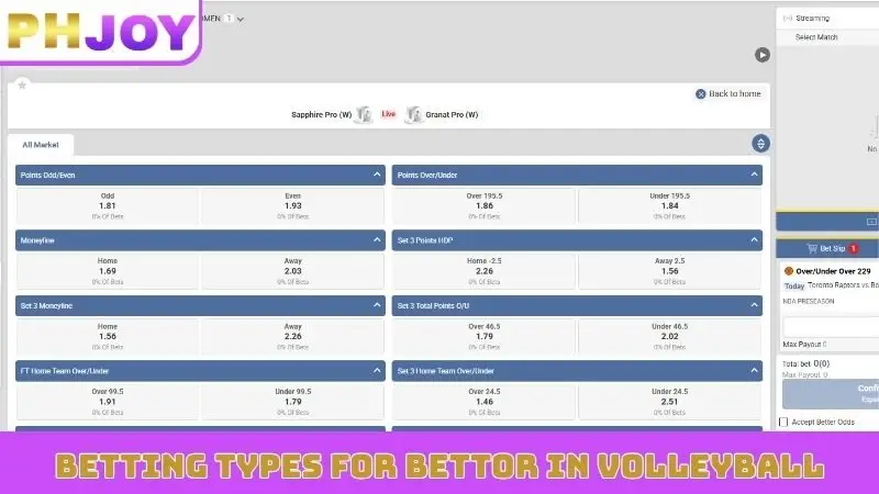 Betting types for bettor in Volleyball