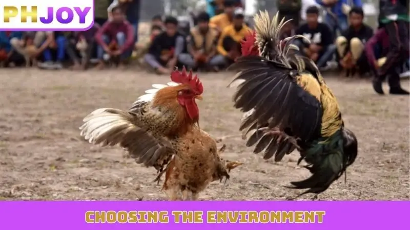 Choosing the environment