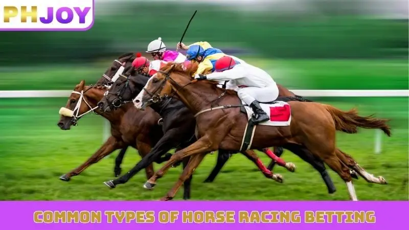 Common types of horse racing betting
