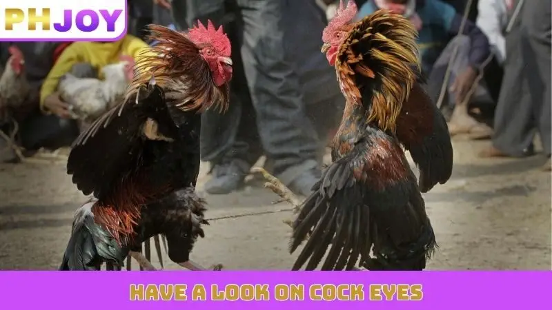 Have a look on cock eyes
