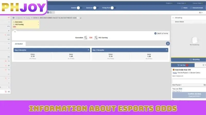 Information about Esports odds