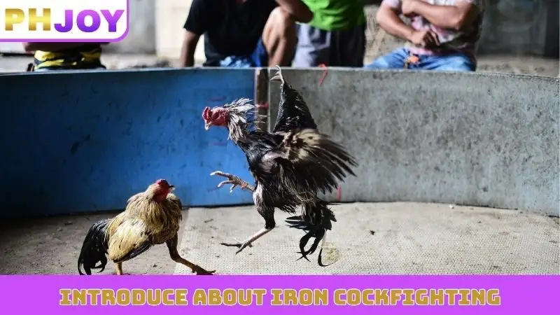 Introduce about Iron cockfighting