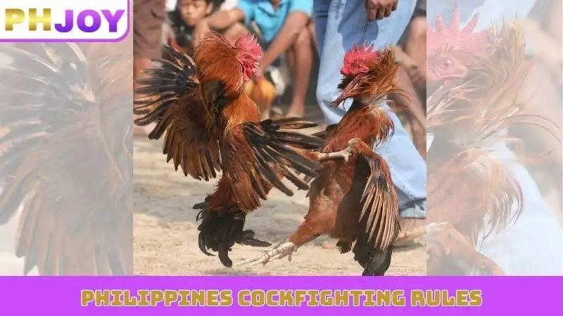 Philippines cockfighting rules