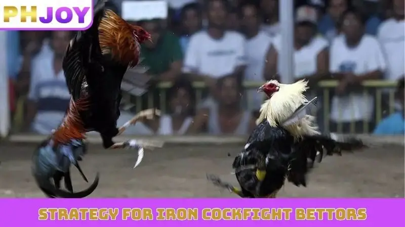 Strategy for iron cockfight bettors