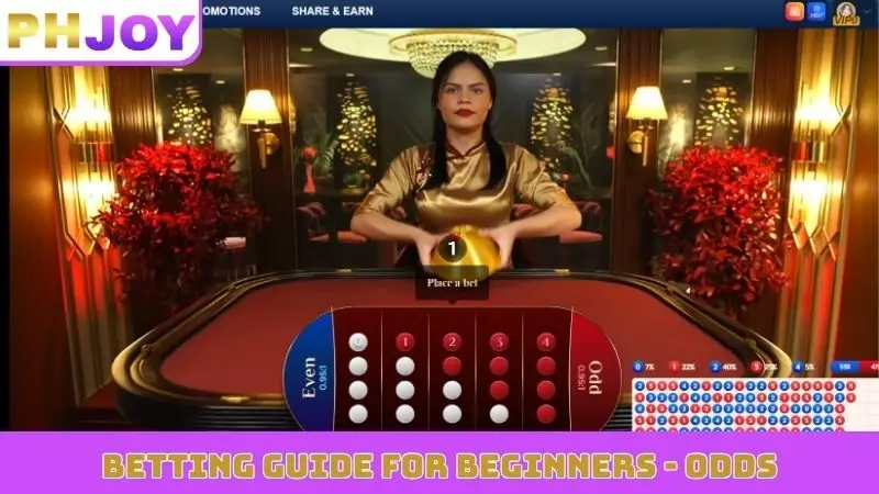 betting guide for beginners