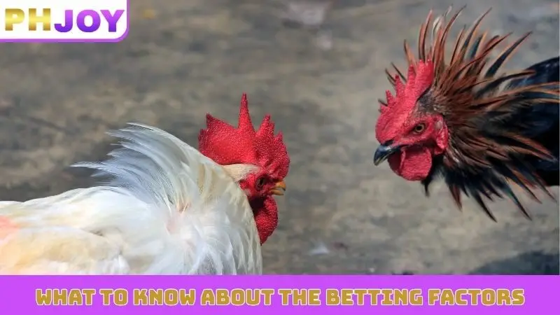 What to know about the betting factors