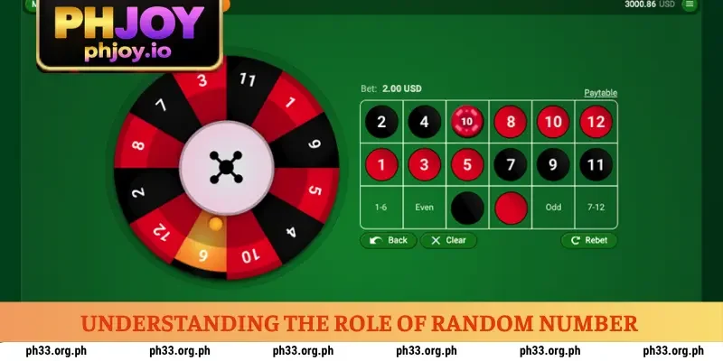 understanding-the-role-of-random-number
